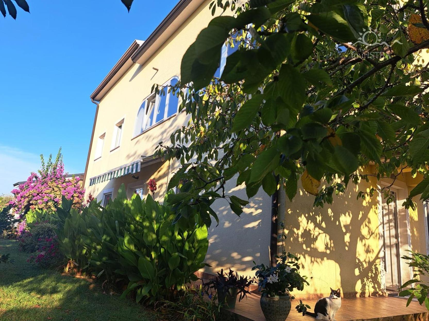 Bozica House With Apartments Murine Bagian luar foto